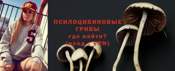 амфетамин Каменка