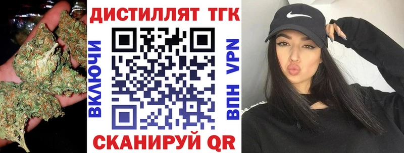 Купить где  Ладушкин  ТГК концентрат 