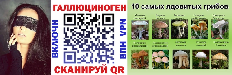 Галлюциногенные грибы MAGIC MUSHROOMS  Купить  Ладушкин 